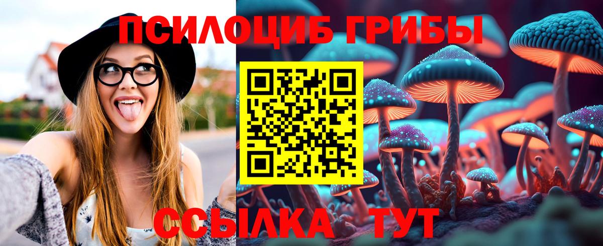 магазин  наркотиков  Вход с VPN  Галлюциногенные грибы прущие грибы  Выкса  Галлюциногенные грибы Cubensis 