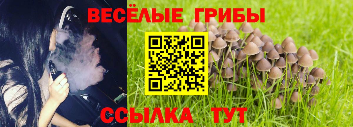 Псилоцибиновые грибы MAGIC MUSHROOMS Выкса